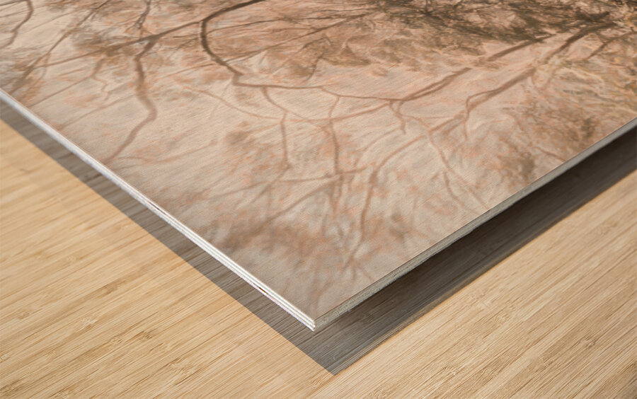 Harmonious Fades Wood print