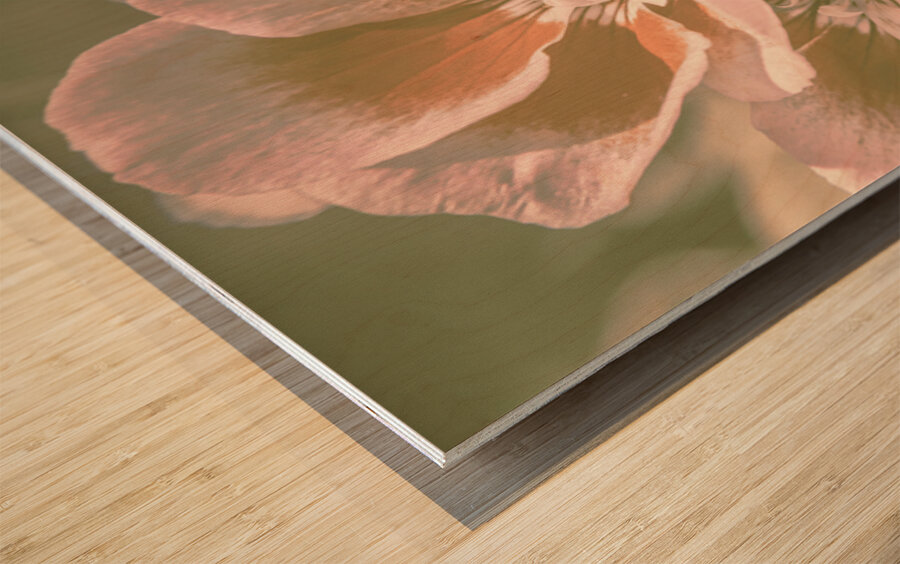 Geranium Wash Wood print