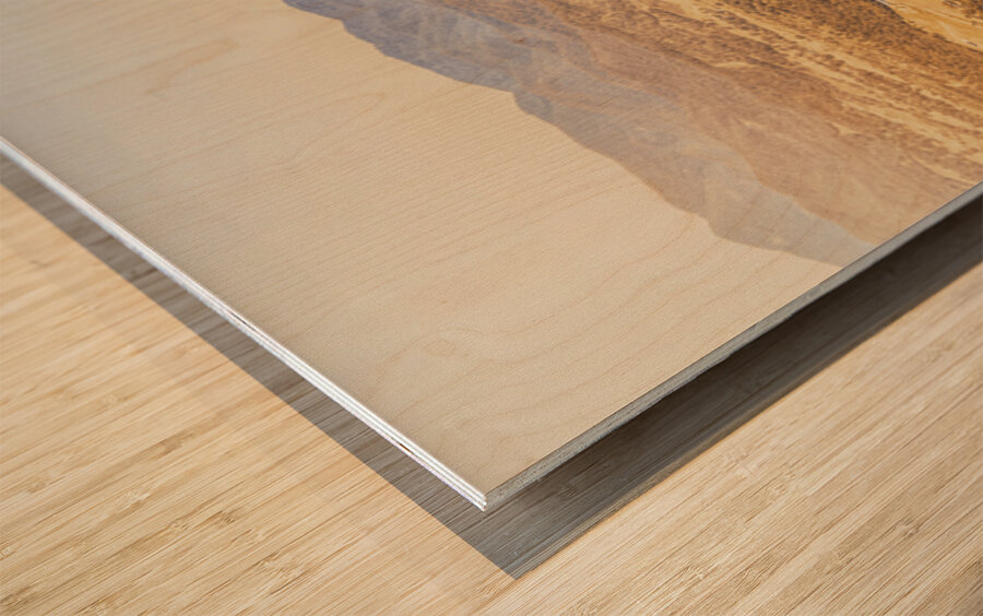 Bucolic Beige Wood print