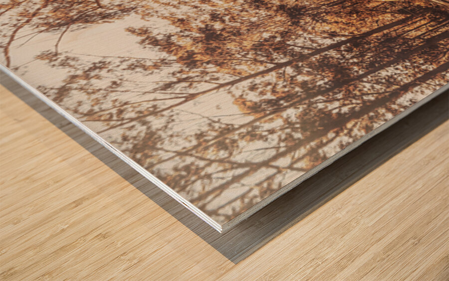 Double Trouble Wood print