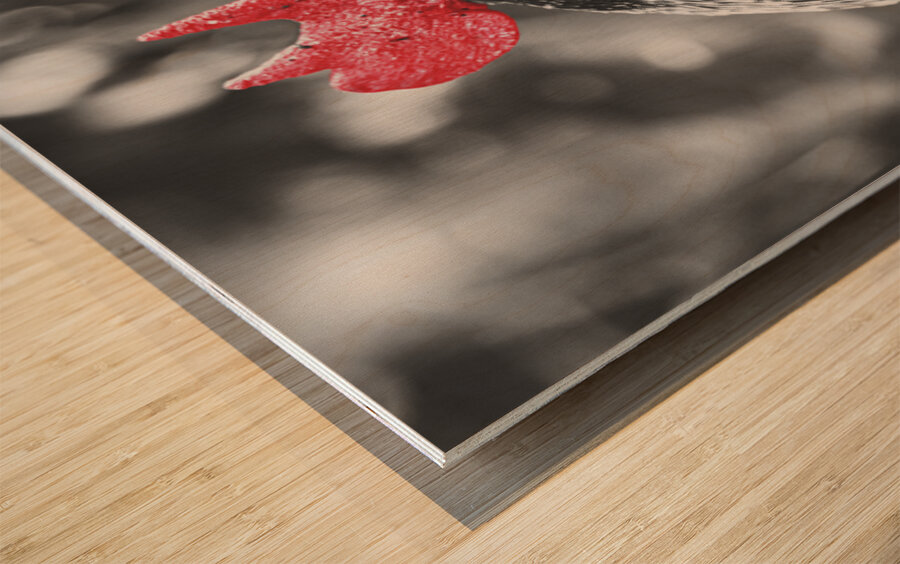 Rooster Red  Wood print