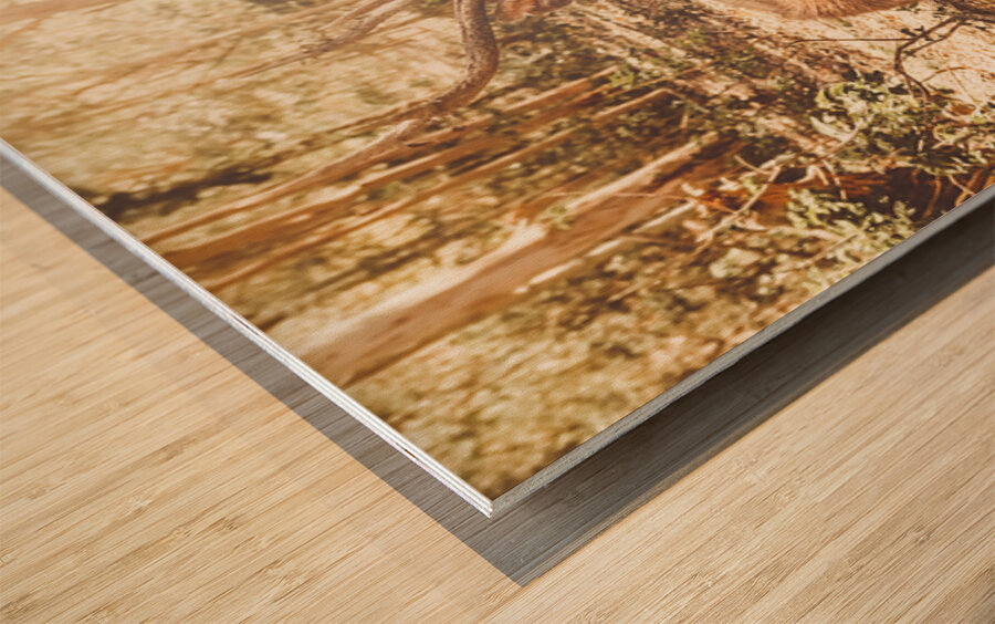 Forest Deer Wood print