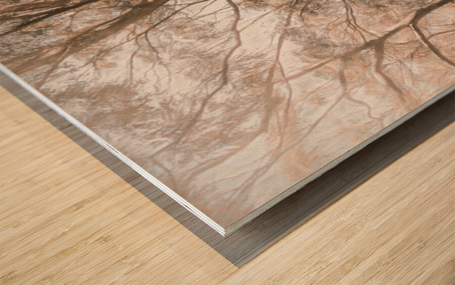 Calm Subtleties Wood print