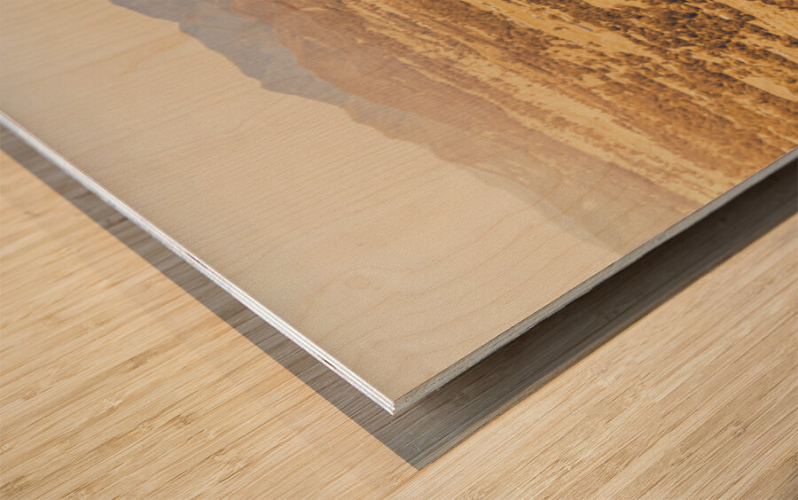 Faded Old Rustic Country Wood print