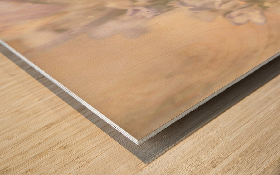 Honeybee Summers Wood print