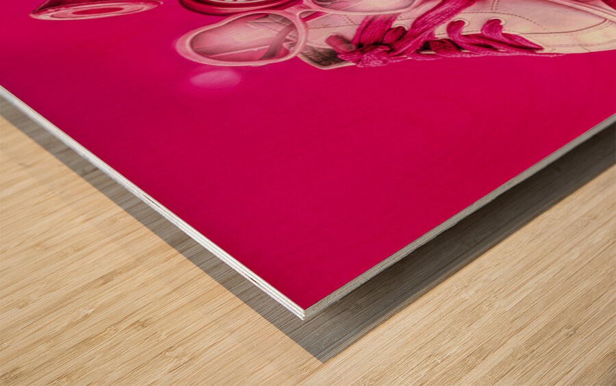 Sugar Sweet Wood print