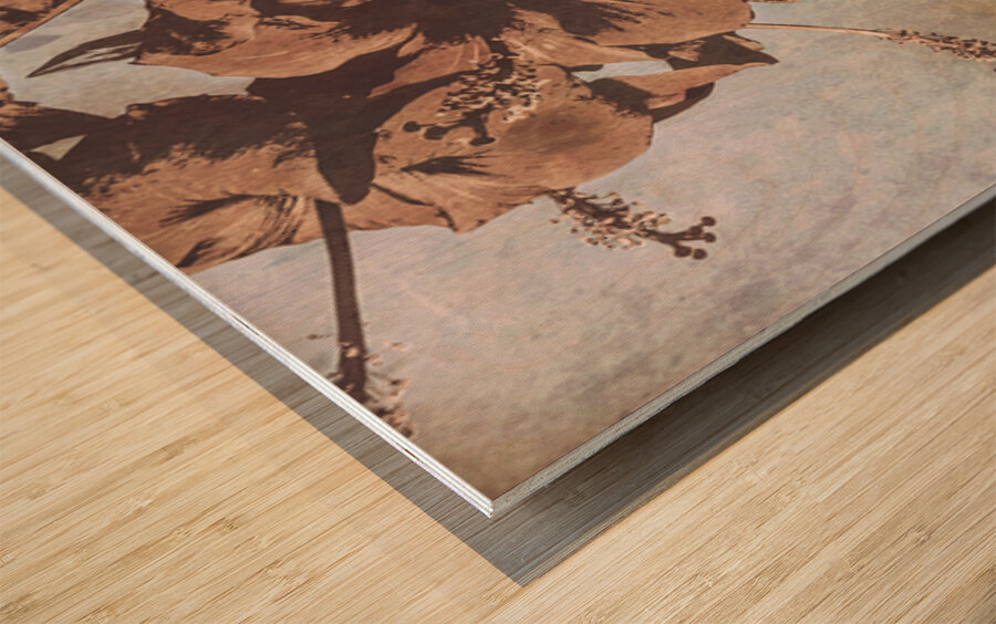 Faded Summer Memories Wood print