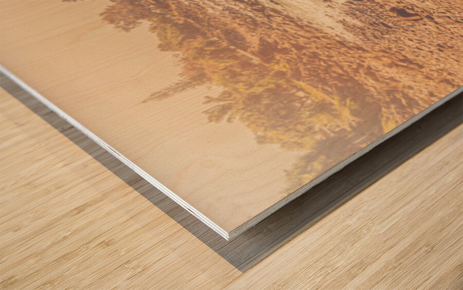 Wash Of Vintage Wood print