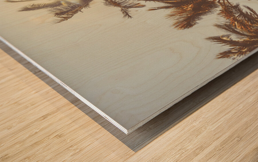 Palmy Summers Wood print