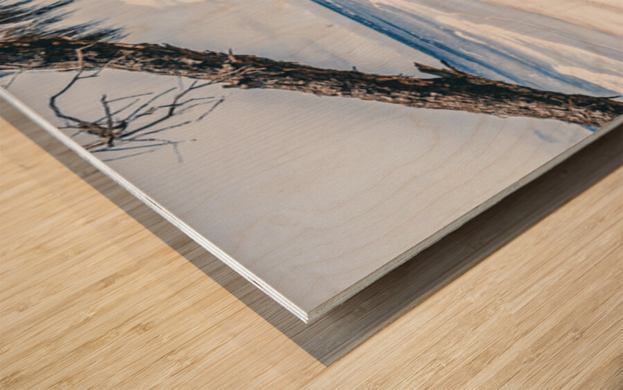 Beach Bicycle Wood print