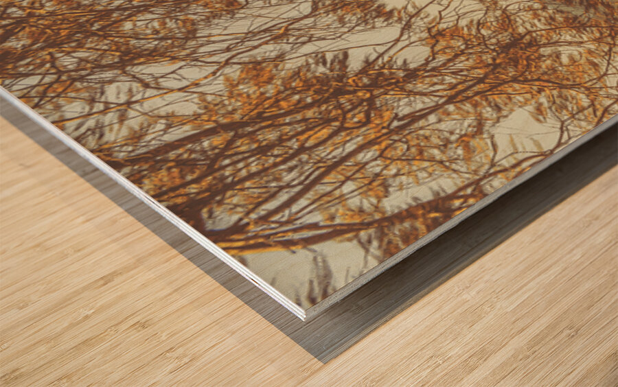 Orange Autumns By The Sea Wood print