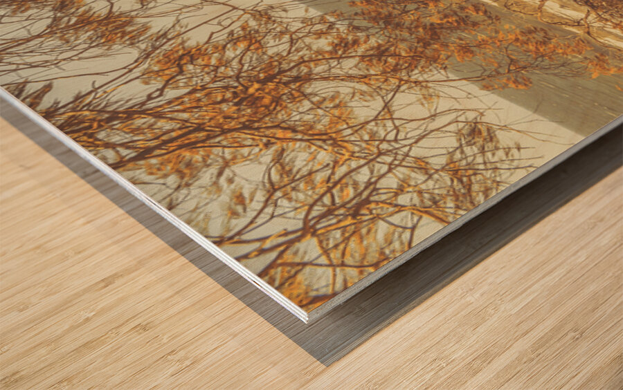 Autumn Whispers Wood print