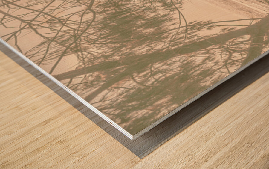 Dune Wash Wood print