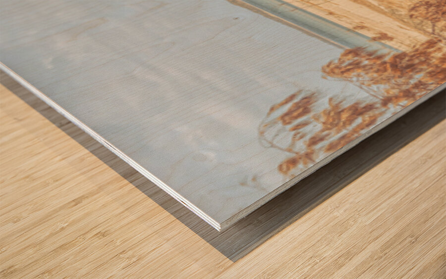 Coastal Calm Wood print