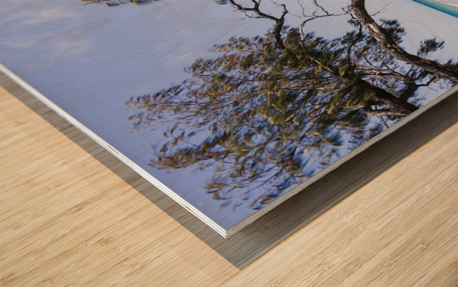 Elliott Heads Outlook Wood print