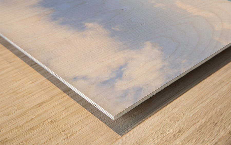 Bargara Beach Bliss Wood print