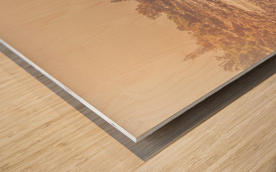 Ocean Afternoons Wood print