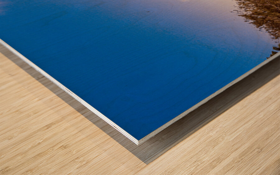 Paradise Pastel Wood print