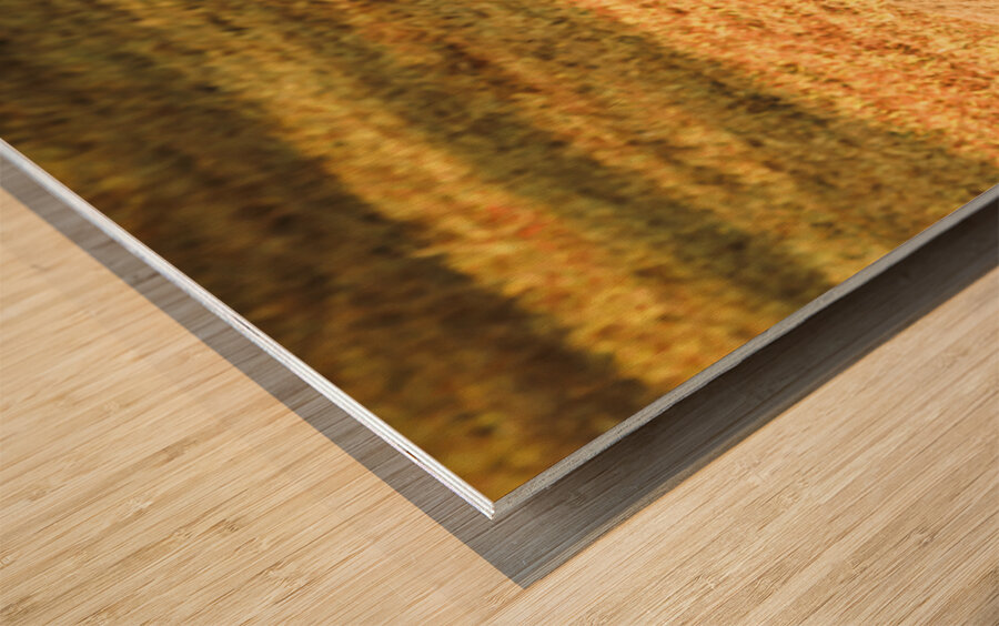 Australian Lawn Mower Wood print