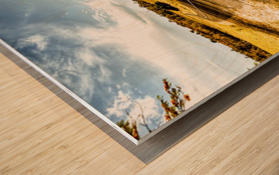 Acres Of Adventure Wood print