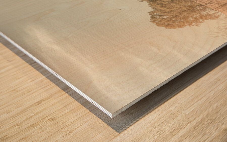 Warm And Rustic Wood print