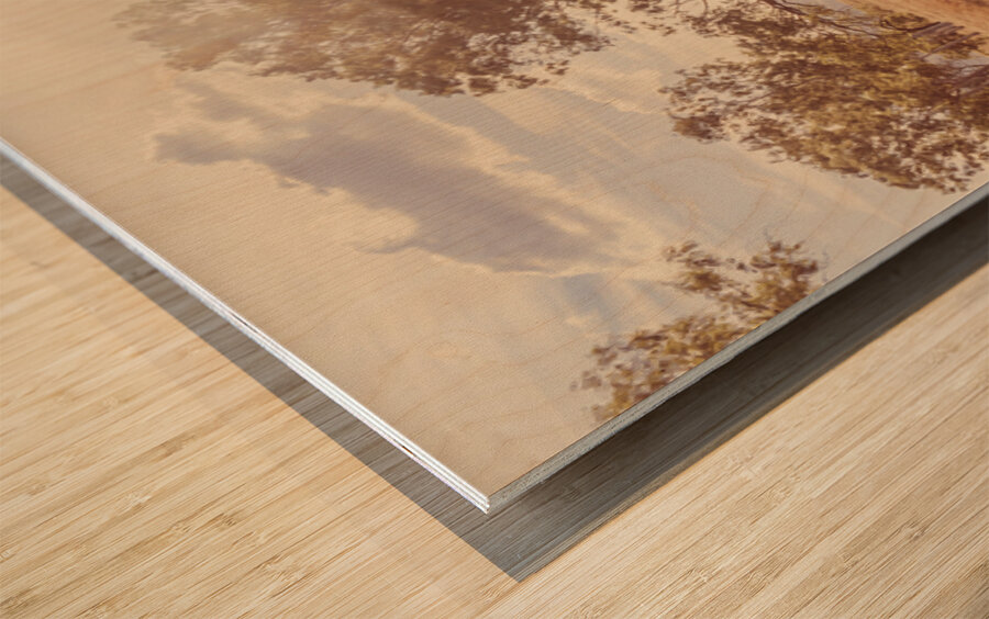 Sunlit Slopelands Wood print