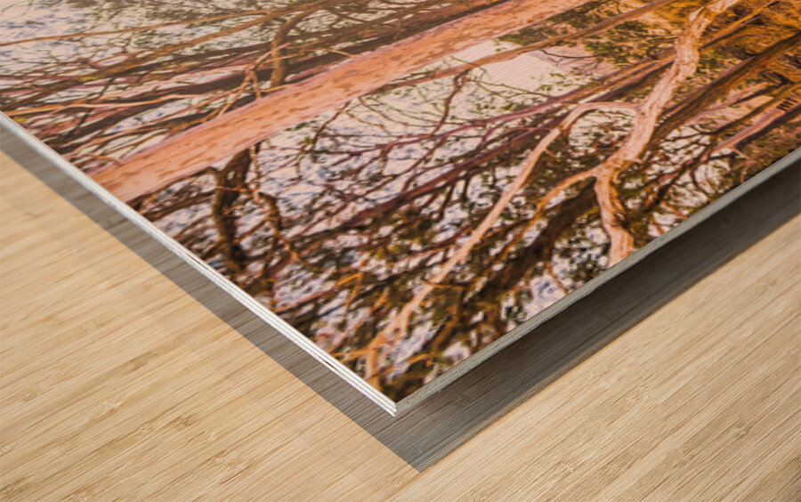 Hillside Quietude Wood print