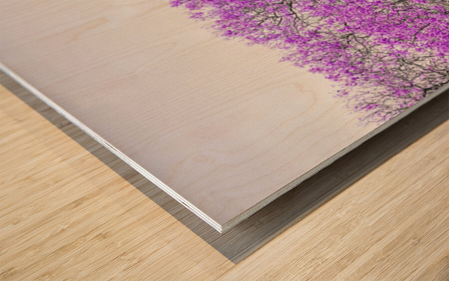 Jacaranda Hues Wood print