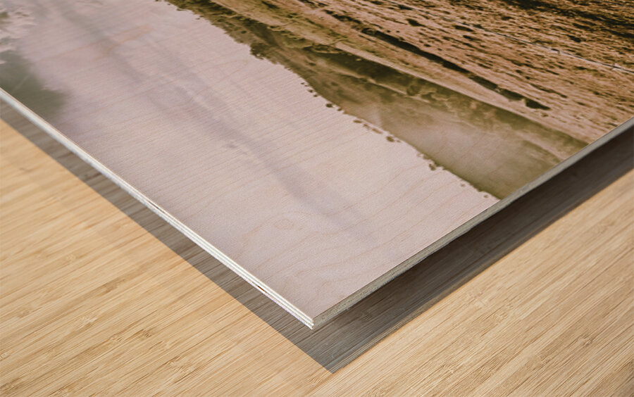 Lands Outback Wood print