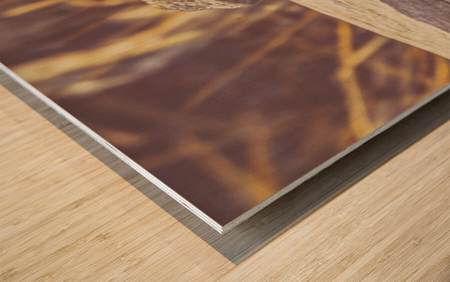 Wooded Dragon Wood print