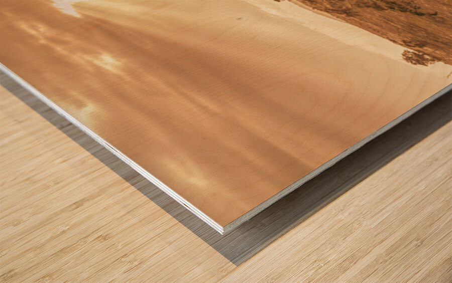 Gold Country Wood print