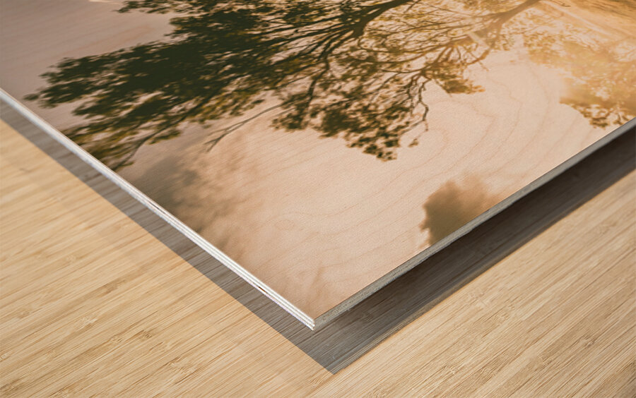 Meadow Meandering Wood print