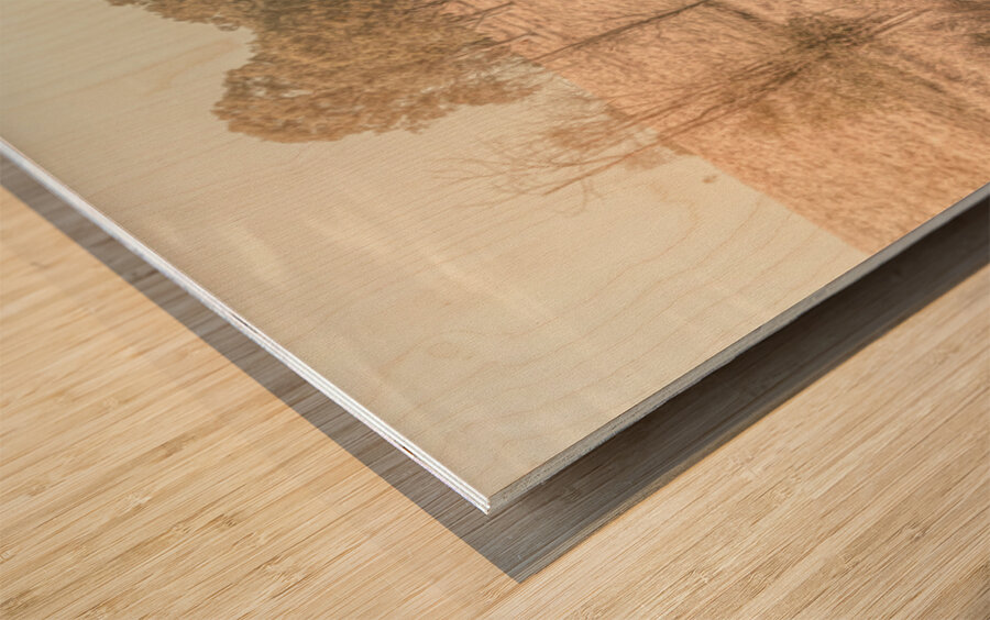 Muted Outbacks Wood print