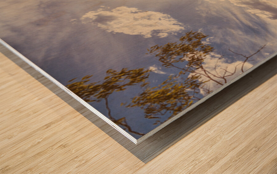 Bleached Country Vertices Wood print