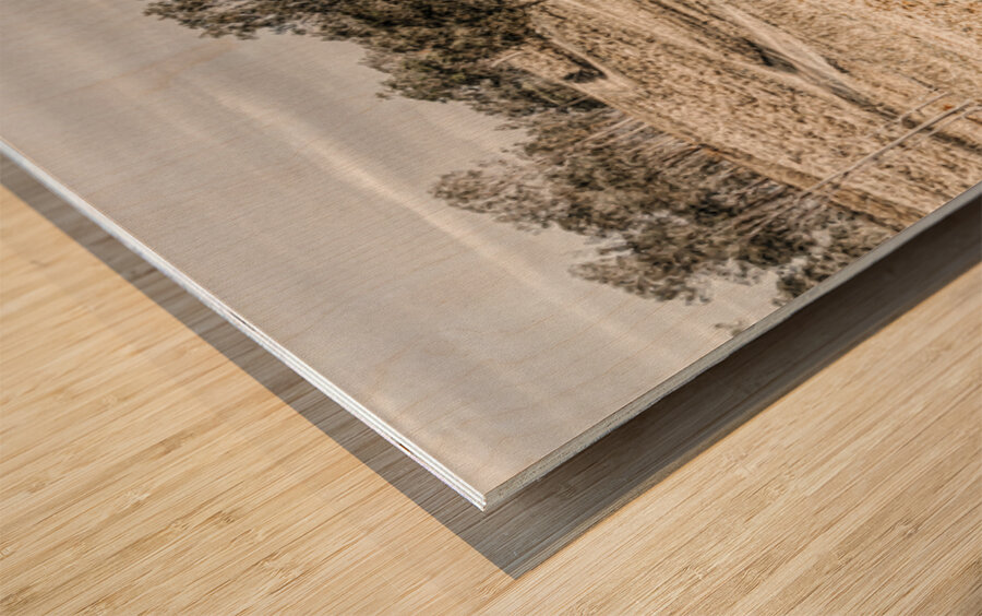 Country Wash Wood print