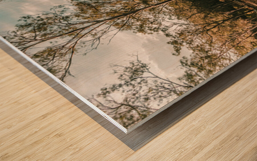 Beauty And Rusticity Wood print