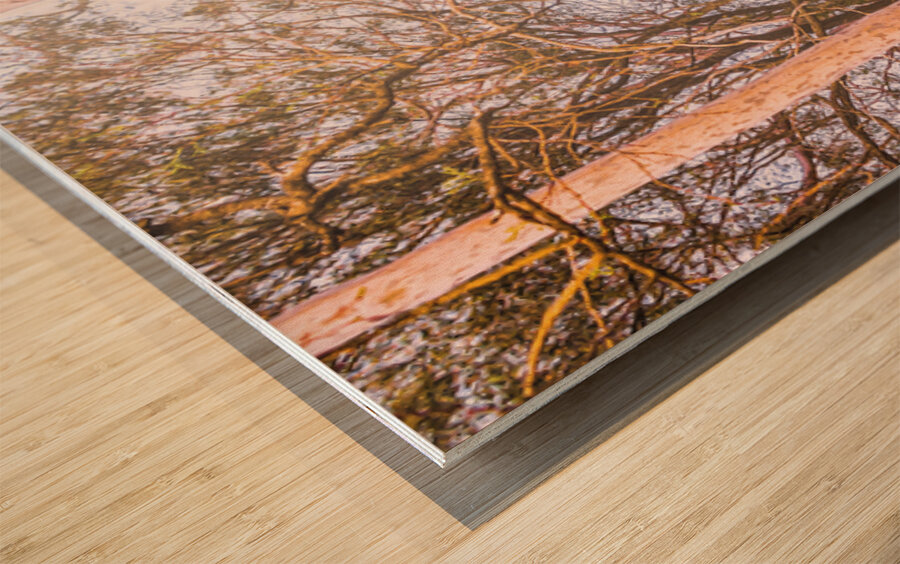 Elevated Country Outlook Wood print