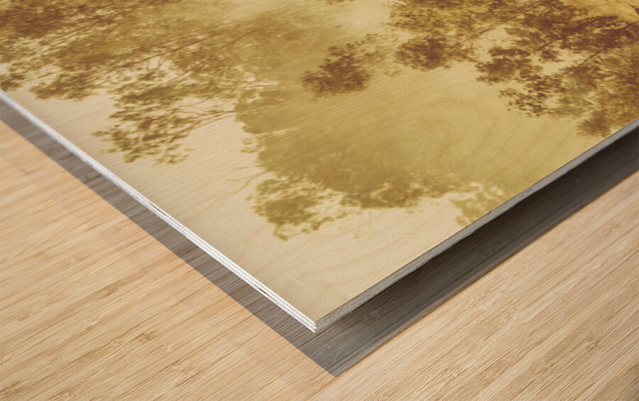 Black Horse Creek Windmill Wood print