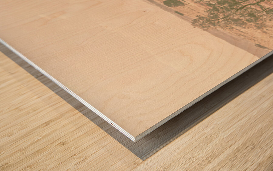 Farming Fades Wood print