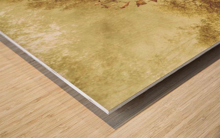 At The Rusty Ranch Wood print