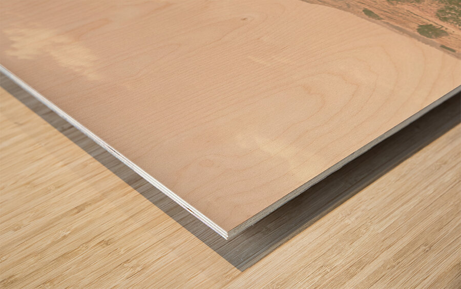 Backcountry Calm Wood print