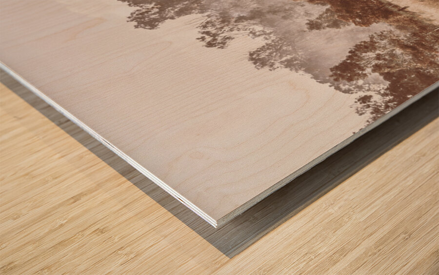 Pacified Paddock Wood print