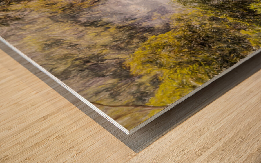 The Fog And The Forest Wood print