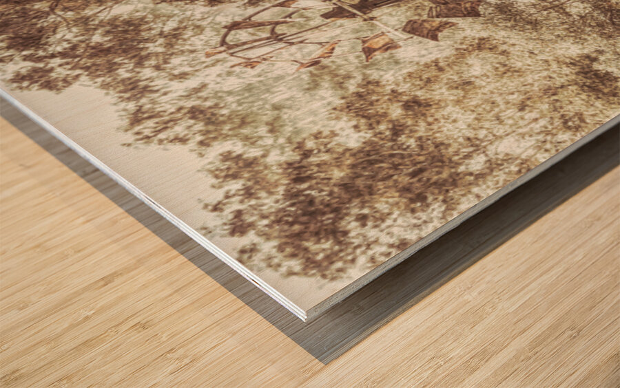 Forgotten Farmstead Wood print