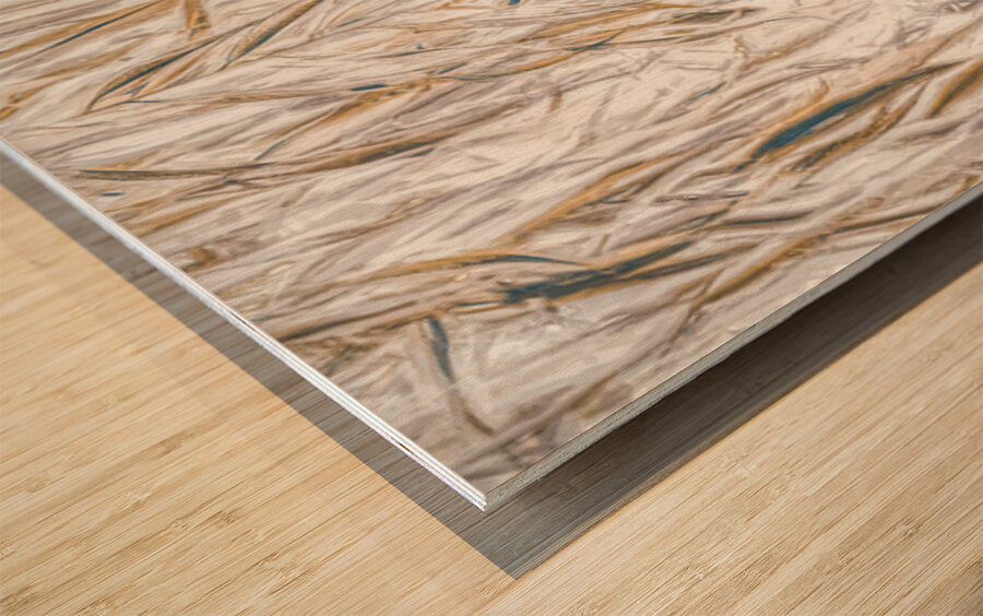 Weeping Willow Washes Wood print