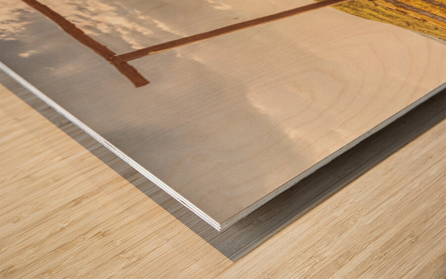 Ranching Reverie Wood print