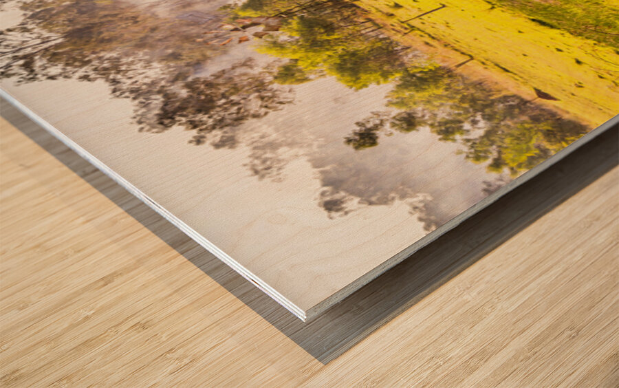 Charming Farming Wood print