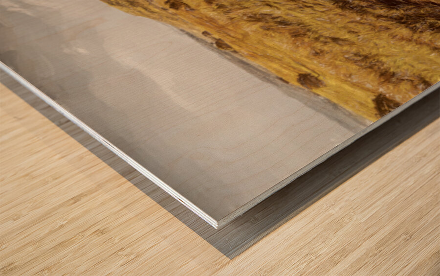 Trailing Branch Creek Wood print