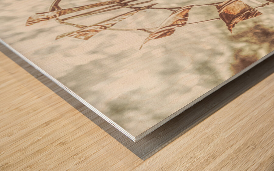 Outback Classic Wood print