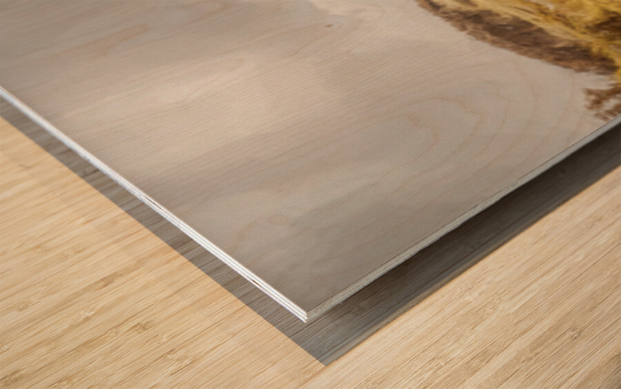 Golden Grasslands Wood print